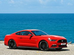     Mustang